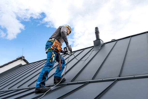 Professional Roofing in Rising Sun, IN